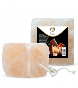 EXCELLENT HORSE SALT LICK HIMALAYA 2-3 KG (MET TOUW)