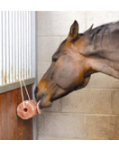 EXCELLENT HORSE SALT LICK HIMALAYA 2-3 KG (MET TOUW)