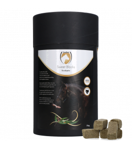 EXCELLENT HORSE SWEET BLOCKS EUCALYPTUS 3 KG