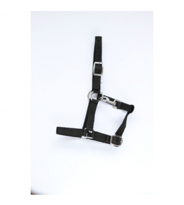 HB VEULENHALSTER ASTRID ZWART