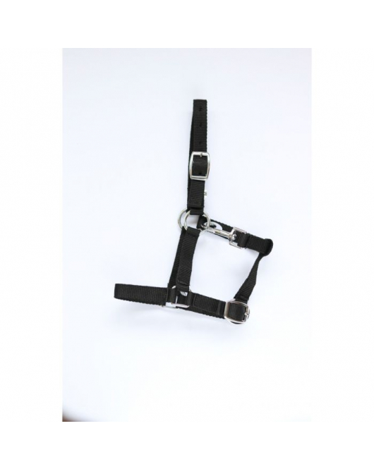 HB VEULENHALSTER ASTRID ZWART