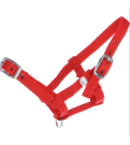 NYLON MINIVEULEN HALSTER ROOD