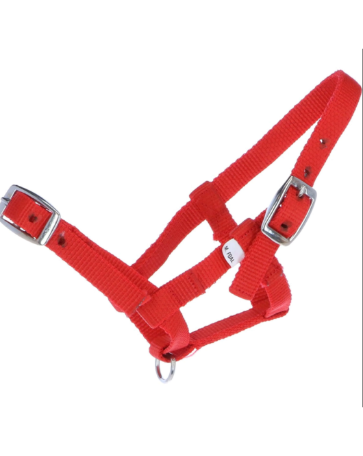 NYLON MINIVEULEN HALSTER ROOD