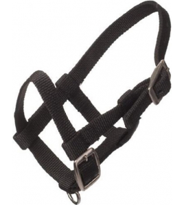 NYLON MINIVEULEN HALSTER ZWART NYLON MINIVEULEN HALSTER ZWART