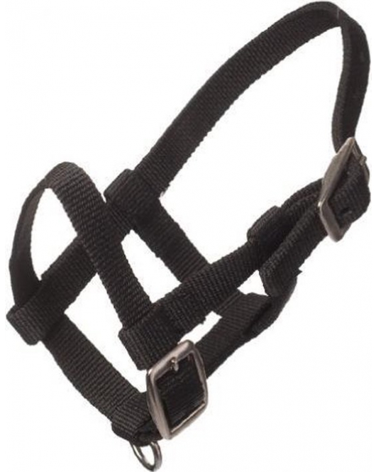 NYLON MINIVEULEN HALSTER ZWART