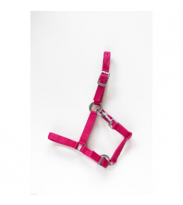 HB VEULENHALSTER ASTRID FUCHSIA