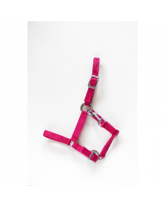 HB VEULENHALSTER ASTRID FUCHSIA