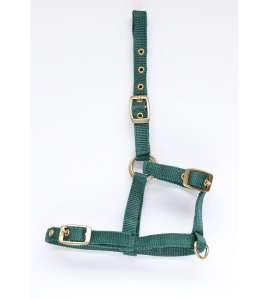 NYLON VEULENHALSTER GROEN