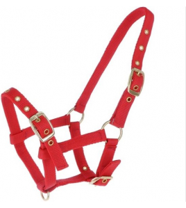 NYLON VEULENHALSTER ROOD