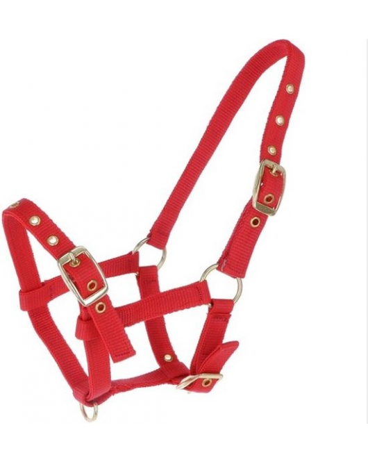 NYLON VEULENHALSTER ROOD