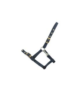 NYLON VEULENHALSTER ZWART