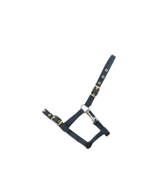 NYLON VEULENHALSTER ZWART