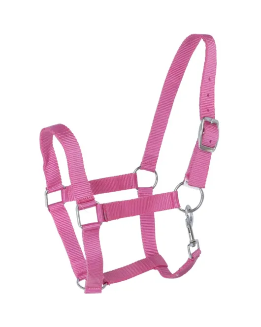 HB NYLON HALSTER SPECIALE MAAT ROZE