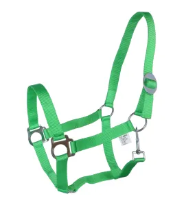 NYLON HALSTER ECONOMIC GROEN PONY
