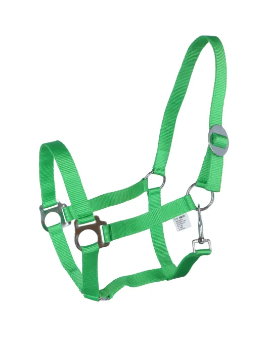NYLON HALSTER ECONOMIC GROEN PONY