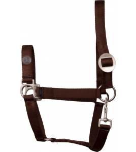 NYLON HALSTER ECONOMIC ZWART PONY NYLON HALSTER ECONOMIC ZWART PONY