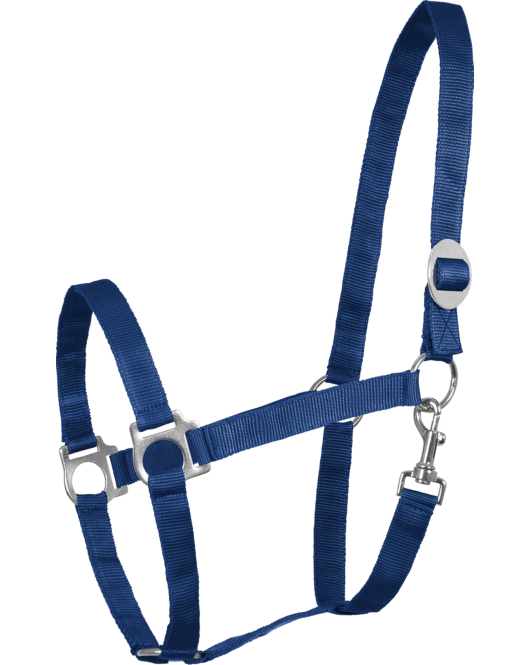 NYLON HALSTER ECONOMIC BLAUW COB