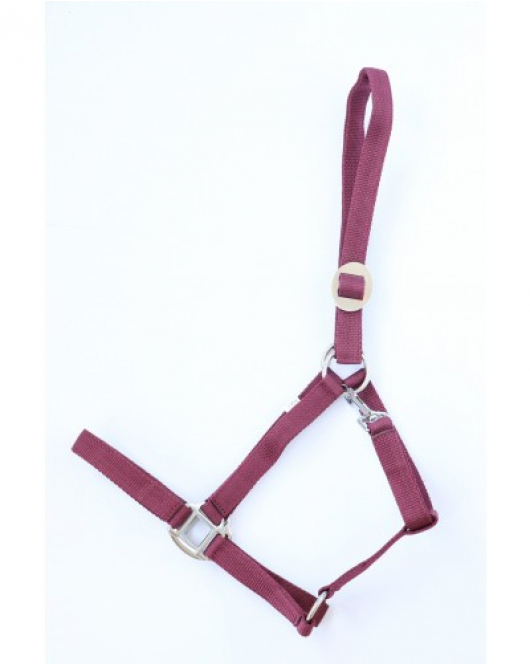 NYLON HALSTER ECONOMIC BORDEAUX COB