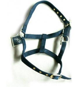 NYLON VEULENHALSTER BLAUW MUSKETON