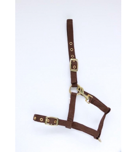 NYLON VEULENHALSTER BRUIN MUSKETON