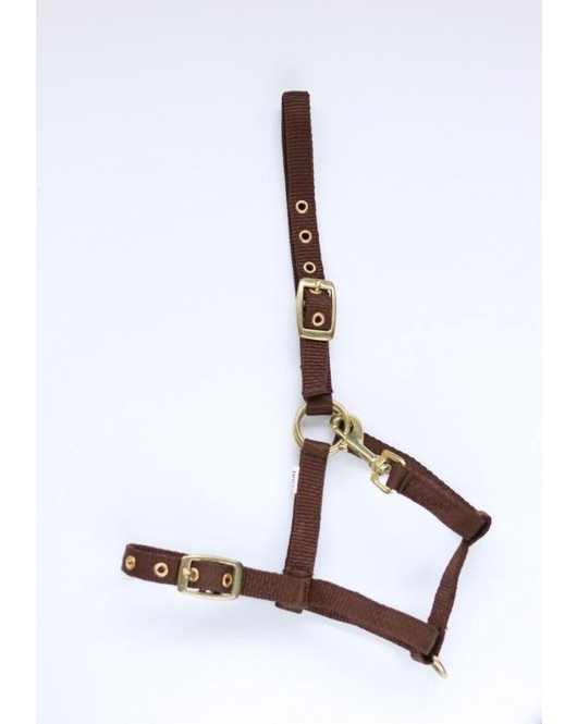 NYLON VEULENHALSTER BRUIN MUSKETON