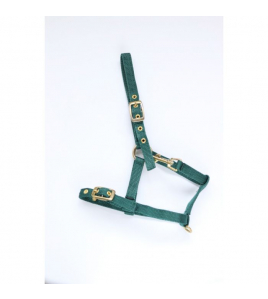 NYLON VEULENHALSTER GROEN MUSKETON