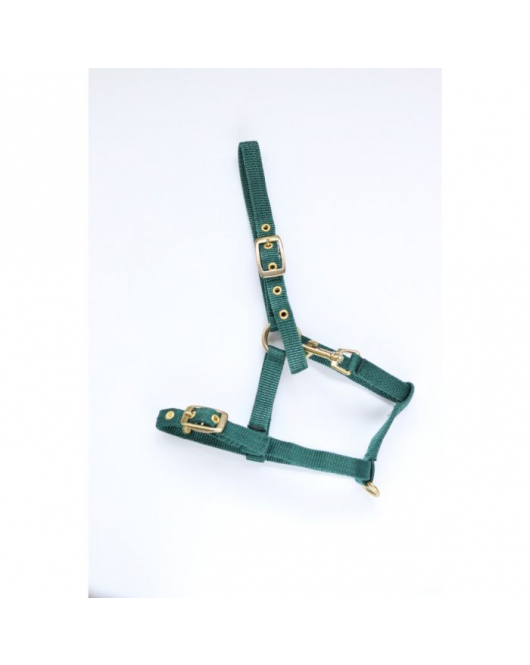 NYLON VEULENHALSTER GROEN MUSKETON