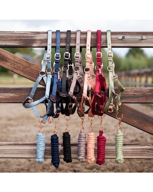 HB SHOWTIME ECLIPE HALSTER SET NAVY COB