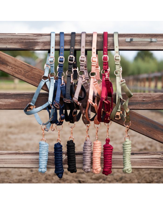 HB SHOWTIME ECLIPE HALSTER SET MINTGROEN FULL