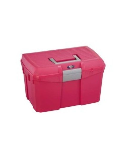 HB LUXE POETSKIST FUCHSIA