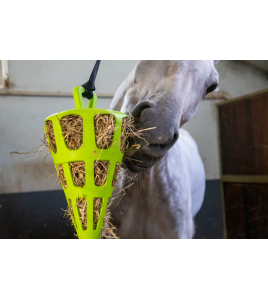 HAY SLOWFEEDER FUN AND FLEX 22 CM GROENE WORTEL 1 ST