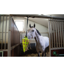 HAY SLOWFEEDER FUN AND FLEX 22 CM GROENE WORTEL 1 ST