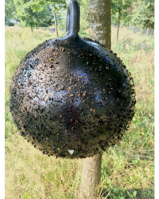 HORSE FLY TRAP BALL 45 CM 1 ST