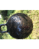 HORSE FLY TRAP BALL 45 CM 1 ST