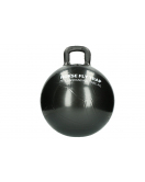 HORSE FLY TRAP BALL 45 CM 1 ST