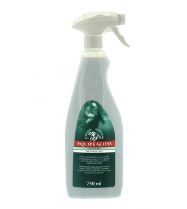 GN. EQUIPE GLANSSPRAY 750 ML. GN. EQUIPE GLANSSPRAY 750 ML.