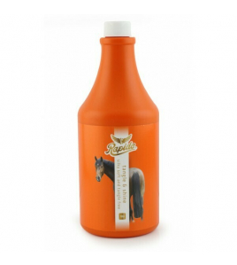 ANTIKLIT RAPIDE 1000ML ANTIKLIT RAPIDE 1000ML