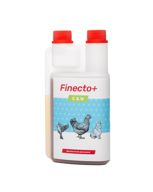 FINECTO+ C&W 500ML