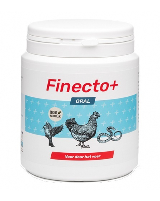 FINECTO+ ORAL 300G.