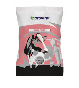 RUPROMIN HEIFER (JONGVEE-JUNIOR)