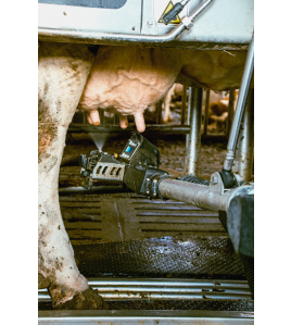 EXCELLENT SUPERON 100 TABLETTEN