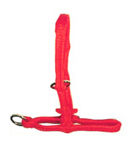 POLYHALSTER ORANJE KOE