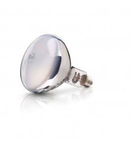 WARMTELAMP PHILIPS 250 WATT WIT