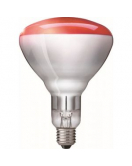 WARMTELAMP PHILIPS 250W ROOD