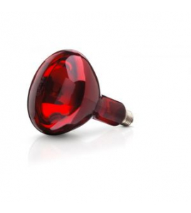 WARMTELAMP 150W ROOD