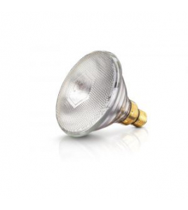 WARMTELAMP PHILIPS EB 100 WATT ROOD