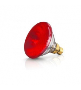 WARMTELAMP PHILIPS EB 100 WATT ROOD