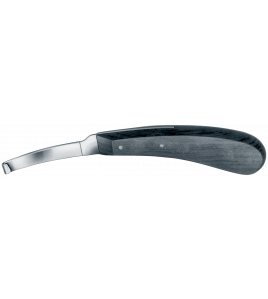 HOEFMES AESCULAP DEENS LINKS