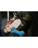 EASY HOOF BLOCK HOUT 1 ST