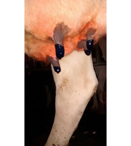 EXCELLENT MAXI DRY COW TEAT SEAL 250 ML